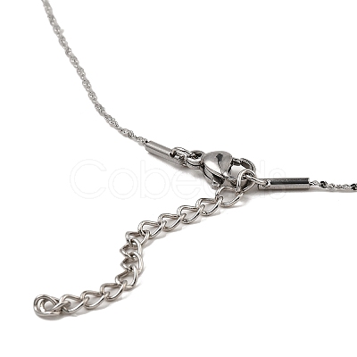 Non-Tarnish 10Pcs 304 Stainless Steel Serpentine Chain Necklaces Set NJEW-K254-01P-1