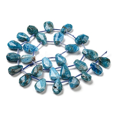 Natural Apatite Beads Strands G-Z040-A07-01-1