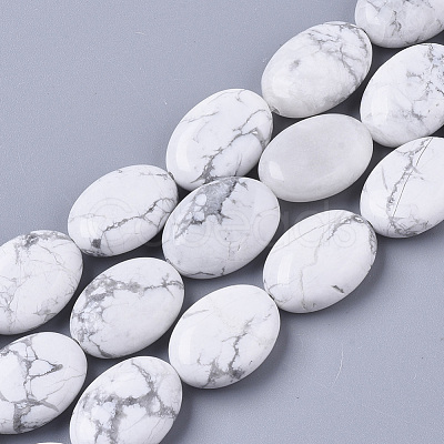 Natural Howlite Beads Strands G-S359-006-1