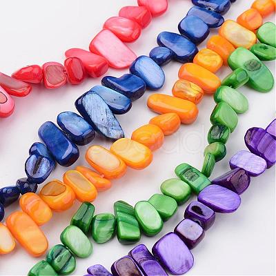 Natural Shell Bead Strands BSHE-P020-M-1