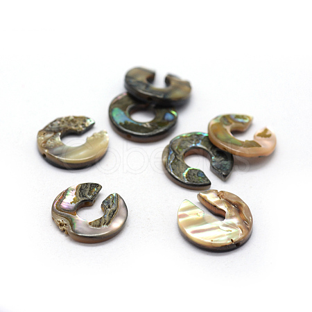 Natural Paua Shell Beads SSHEL-G020-30-15mm-1
