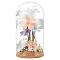 Glass Dome Cover, Decorative Display Case, Cloche Bell Jar Terrarium with Cork Base, Clear, 103x195mm, Inner Diameter: 95mm