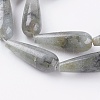 Natural Labradorite Beads Strands G-A175E-B13-3