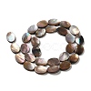 Natural Sea Shell Beads Strands SHEL-K006-33-2