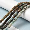 Natural Turquoise Beads Strands G-P506-03C-03-4
