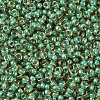 MIYUKI Round Rocailles Beads SEED-JP0008-RR0374-3