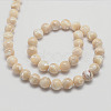 Natural Sea Shell Round Bead Strands SSHEL-M013-10mm-02-2