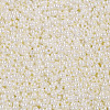 11/0 Grade A Ceylon Glass Seed Beads X-SEED-N001-B-0481-2