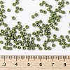 MIYUKI Round Rocailles Beads X-SEED-G008-RR2318-4