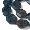 Faceted Natural Apatite Beads Strands G-H242-01B-1