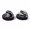 Natural Abalone Shell/Paua Shell Beads SSHEL-T014-15-2