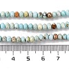 Natural Howlite Beads Strands G-H025-03C-09-5