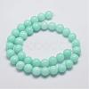 Natural & Dyed Malaysia Jade Bead Strands G-A146-10mm-B-2