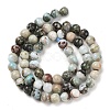 Natural Larimar Beads Strands G-P524-A02-02-3