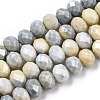 Faceted Electroplated Glass Beads Strands GLAA-C023-02-B04-1