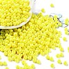 Baking Paint Glass Seed Beads SEED-H002-I-B501-1