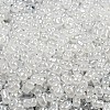 Ceylon Glass Seed Beads SEED-K009-02B-35-3