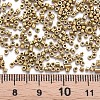 Glass Cylinder Beads SEED-S047-B-008-4