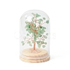 Natural Green Aventurine Chips Money Tree in Dome Glass Bell Jars with Wood Base Display Decorations DJEW-B007-04A-1