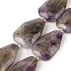 Natural Amethyst Beads Strands G-P548-B08-01-1