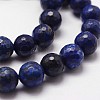 Natural Lapis Lazuli Beads Strands X-G-D840-38-8mm-3