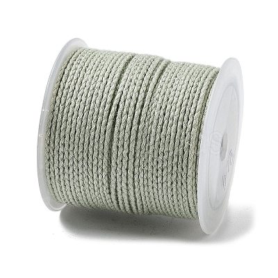 20M Polyester Braided Cord for Jewelry Making OCOR-G015-04A-23-1