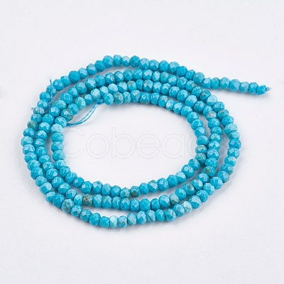 Dyed Natural Turquoise Beads Strands X-TURQ-F010-05-1