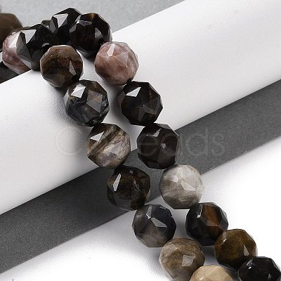 Natural Petrified Wood Beads Strands G-NH0021-A12-02-1