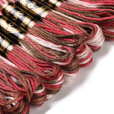 10 Skeins 6-Ply Polyester Embroidery Floss OCOR-K006-A06-1