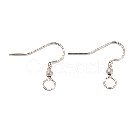 304 Stainless Steel Earring Hooks STAS-B047-30P-1