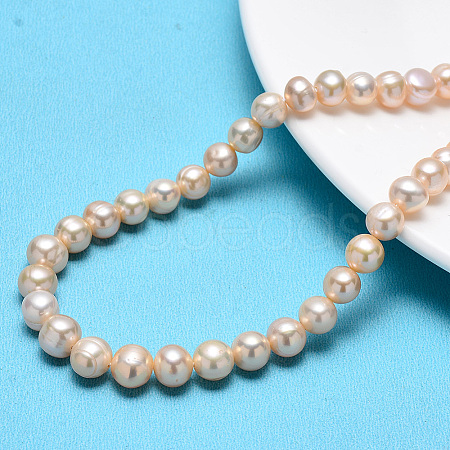 Natural Cultured Freshwater Pearl Beads Strands PEAR-R013-07-1