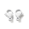 Spray Painted 304 Stainless Steel Lobster Claw Clasps STAS-R120-01D-01-1
