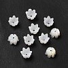 Natural Freshwater Shell Bead Caps BSHE-E026-12-1