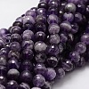 Faceted Round Natural Chevron Amethyst Bead Strands G-L437-22-8mm-1