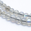 Natural Labradorite Beads Strands G-P342-09-4mm-AB+-3