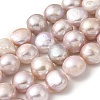 Natural Cultured Freshwater Pearl Beads Strands PEAR-A006-13D-1