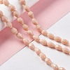 Faceted Glass Beads Strands GLAA-E037-02-M-5