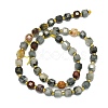 Natura Eagle Eye Stone Beads Strands G-I376-D49-01-2