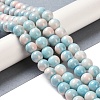 Baking Paint Glass Bead Strands GLAA-H031-01C-10-2