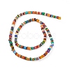 Rainbow Color Natural Freshwater Shell Beads Strands SHEL-M018-08A-2