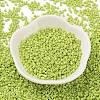 Baking Paint Glass Seed Beads SEED-S042-05B-62-2