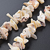 Natural Trochid Shell/Trochus Shell Bead Strands SSHEL-N034-105-B01-2