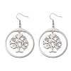 304 Stainless Steel Dangle Earrings EJEW-P271-04P-1