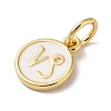 Real 18K Gold Plated Brass Enamel Charms KK-L216-001G-G02-2