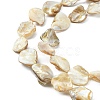Handmade Shell Beads Strands PBB471-1-3