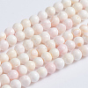 Natural Pink Shell Beads Strands X-SSHEL-L016-18A-1