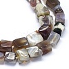 Natural Botswanna Agate Beads Strands G-O173-055-3