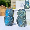 Natural Labradorite Carved Healing Owl Figurines PW-WG54127-01-2