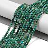 Natural Chrysocolla Beads Strands G-P514-A03-02-01-2