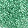8/0 Glass Seed Beads X-SEED-A015-3mm-2218-2